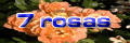 7rosas Cuadros y Apuntes